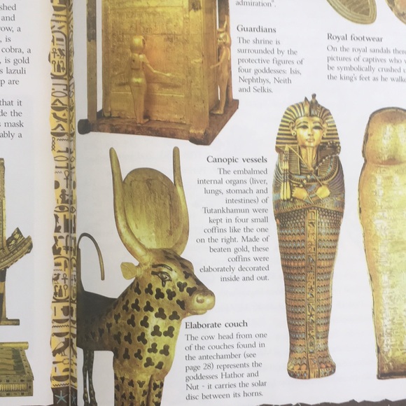 In Search of Tutankhamun: The Discovery of a King's Tomb - Picture 10 of 12